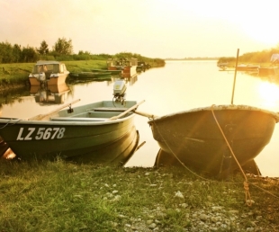 Vīnrozes Kempings
