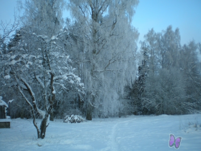 Lielā Ziemas Ludzas zivs 2011 (ARHĪVS)