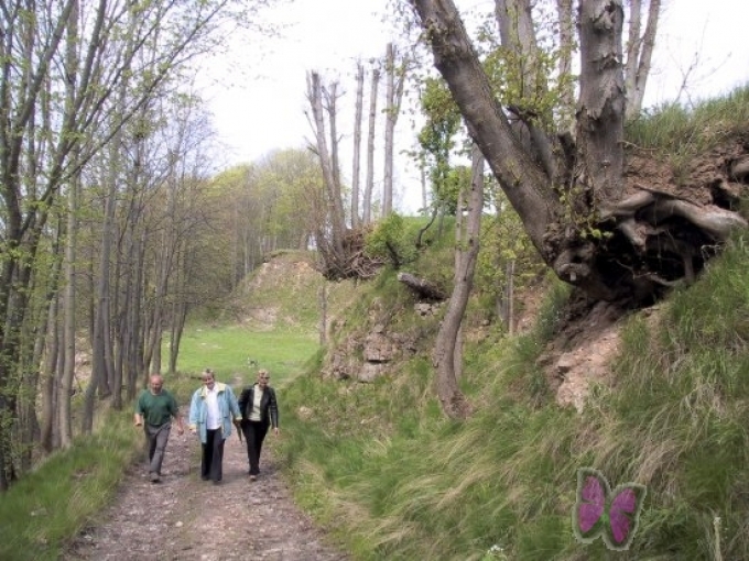 Kaļķu cepļa drupas un dolomīta atsegumi