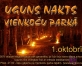 Uguns nakts Vienkoču parkā(ARHĪVS)