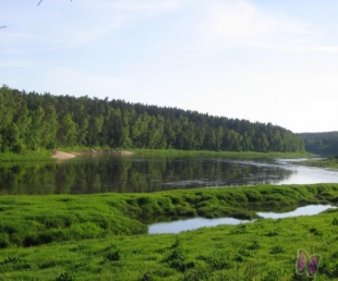 Ar airiem pār plecu Daugavas svētkos Krāslavā!