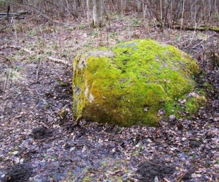 Ezergailīšu Velna akmens