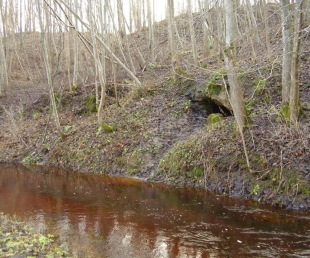 Dagdas ala
