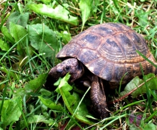 Latgales zoodārzs