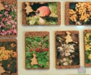 2012.gada tūrisma sezonas suvenīri – magnētiņi