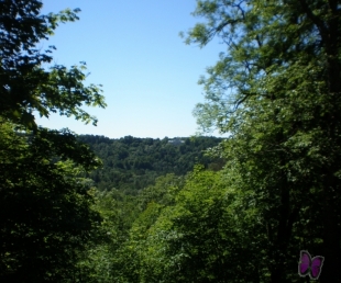 Arī Siguldā viesosies Čikāgas piecīši(ARHĪVS)