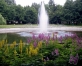 Dubrovina parks