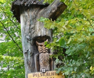 Meža ainavu parks "Pilskalnes Siguldiņa"