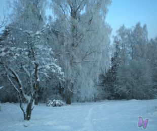 Lielā Ziemas Ludzas zivs 2011 (ARHĪVS)