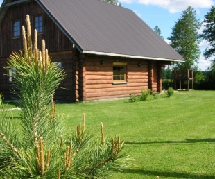 Jaunlauvas Pirts māja