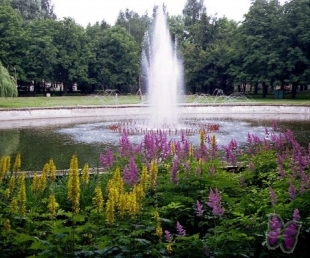 Dubrovina parks