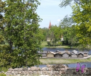 Zāļu dienas radošā darbnīca Āraišu arheoloģiskajā muzejparkā(ARHĪVS)